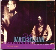 David Sylvian & Robert Fripp - Jean The Birdman CD 1